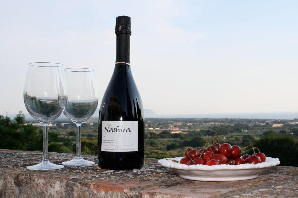 Agriturismo Ss Annunziata San Vincenzo Zewnętrze zdjęcie