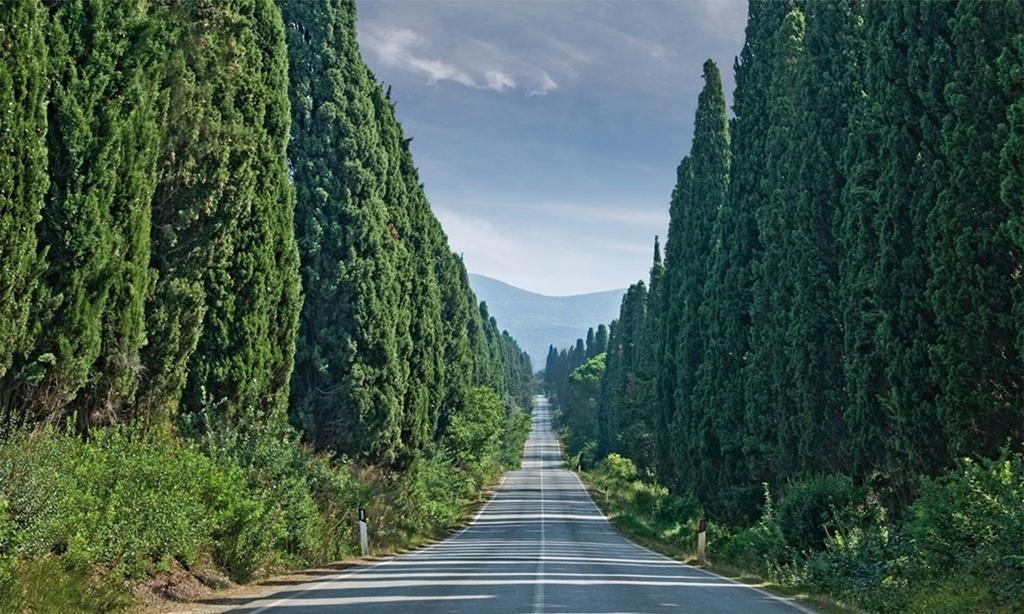 Agriturismo Ss Annunziata San Vincenzo Zewnętrze zdjęcie