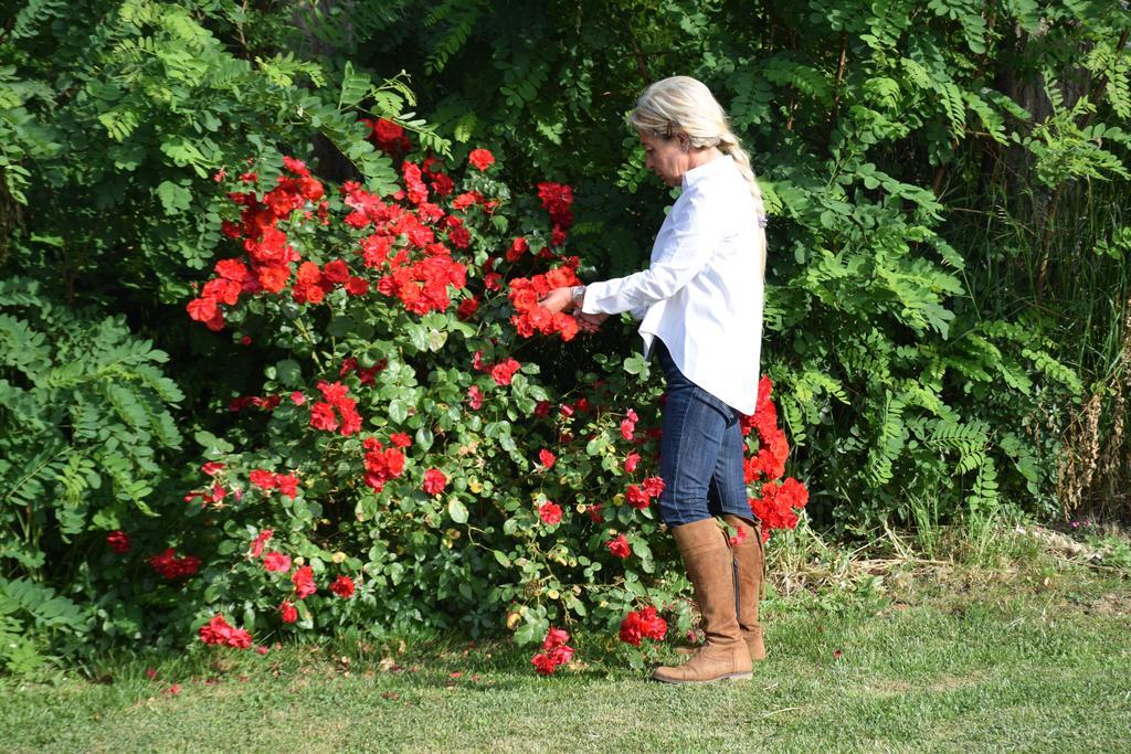 Agriturismo Ss Annunziata San Vincenzo Zewnętrze zdjęcie