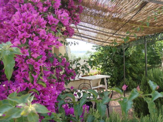 Agriturismo Ss Annunziata San Vincenzo Zewnętrze zdjęcie