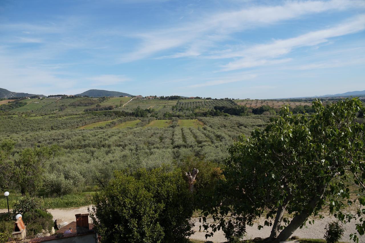 Agriturismo Ss Annunziata San Vincenzo Zewnętrze zdjęcie